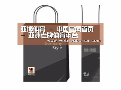 项目名称十四