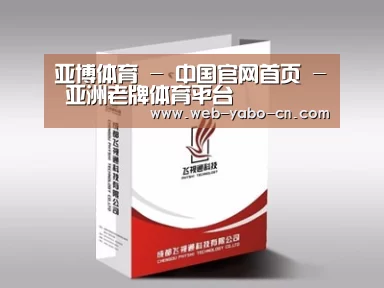 项目名称十三
