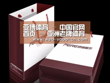 项目名称十二